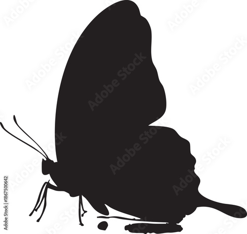 Black Silhouette of a Whisk with a Long Handle and a Curved End kitchen tool cooking utensil