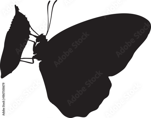 Black silhouette of a whisk with a single bristle and a long handle kitchen tool cooking utensil