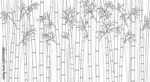 Line art illustration of a dense bamboo forest with tall stalks and thin leaves in black and grey on a white background.