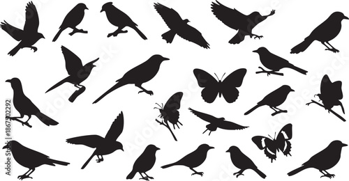 Black silhouettes of birds and butterflies in various poses and positions flying