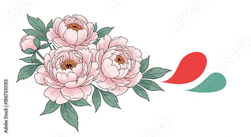 Bouquet of beautiful pink peony flowers with lush green leaves and abstract decorative elements on white background.