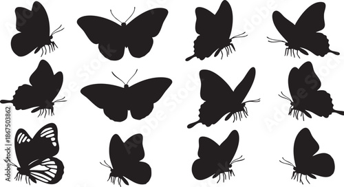 Black Silhouettes of Various Butterflies with Different Wing Shapes and Patterns butterfly