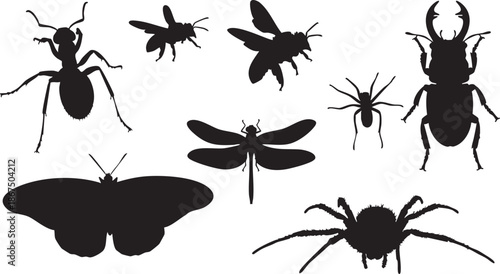 Black silhouettes of various insects and arachnids on white background 1