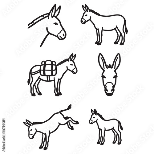 Hand Drawn Donkeys and Horse Doodle Set