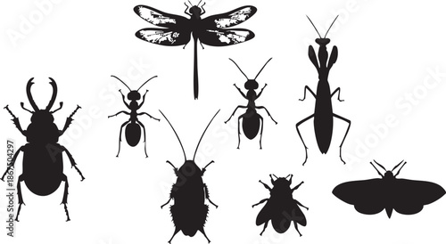 Black silhouettes of various insects and bugs against a white background