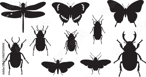 Black silhouettes of various insects and bugs including beetles and butterflies
