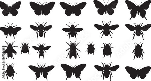 Black silhouettes of various insects including butterflies and beetles against a white background