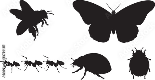 Black silhouettes of various insects including butterflies ants and beetles against white background