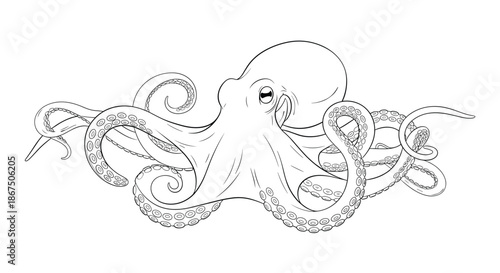 Intricate black and white line art illustration of an octopus with detailed tentacles and suction cups on white background.