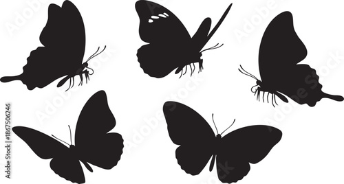 Five black butterfly silhouettes with long tails and antennae on white background nature