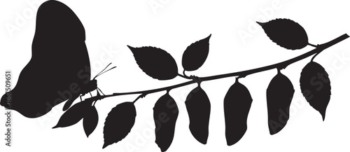 Silhouette of a butterfly on a branch with leaves and flowers