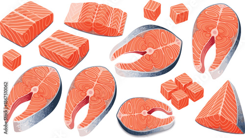 Salmon fish cuts collection vector illustration with steaks fillets cubes and slices isolated on white background for seafood design