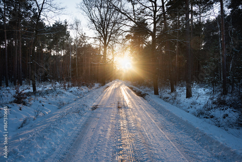 Leśna droga w zimowy mroźny dzień. Nawierzchnia drogi i ziemia obok pokryta jest warstwą śniegu.  Z prawej strony widać świecące oślepiającym blaskiem zachodzące słońce.
