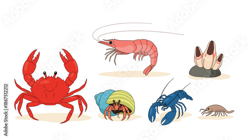 A collection of various marine creatures, including crabs, shrimp, lobster, and hermit crab, depicted on a sandy seabed background.
