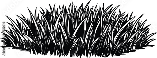 A golden field of dry grass and reeds sways under a blue summer sky, featuring a detailed green plant growth and a dark grass silhouette isolated on white for a rural nature landscape