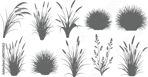 A decorative vector set of black grass and plant silhouettes featuring tropical palm, bamboo, and floral leaf patterns for summer nature illustration design