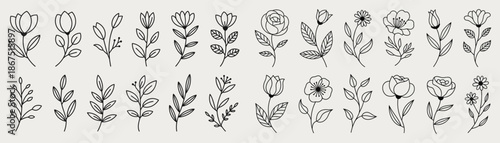 Collection of hand-drawn floral illustrations