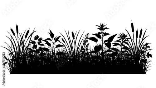 Silhouetted wetland plants and flowers against a white background