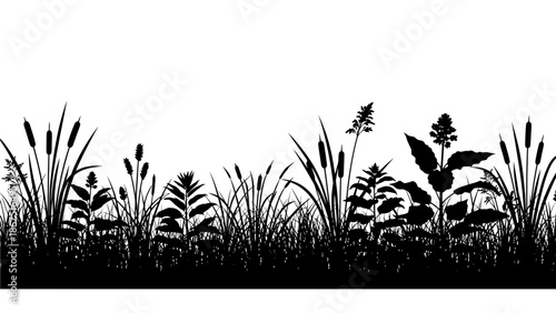 Silhouetted plants and grasses against a white background