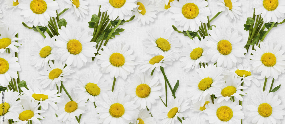 Obraz premium Floral Texture Background with Flowers and Leaves