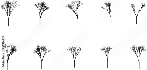 Set of 10 Minimalist Abstract Black Branch Structures Vector
