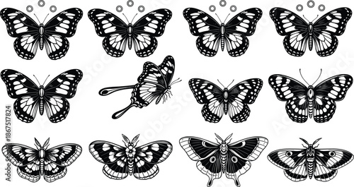 Set of detailed butterfly and moth silhouettes and line art icons, vintage nature illustrations for decorative design, spring, and entomology. (20 words)