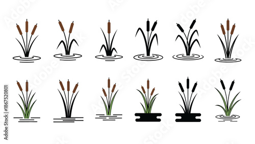 Collection of cattails in various illustration styles on white background