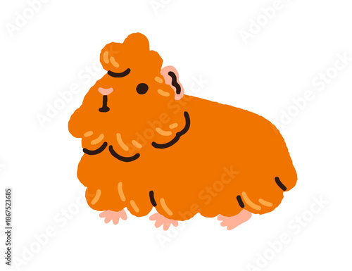 Guinea pig pet. Cute funny fluffy little rodent with soft hairy fur. Kawaii tame animal. Cuddly furry fuzzy sweet adorable cavy. Flat graphic vector illustration isolated on white background.