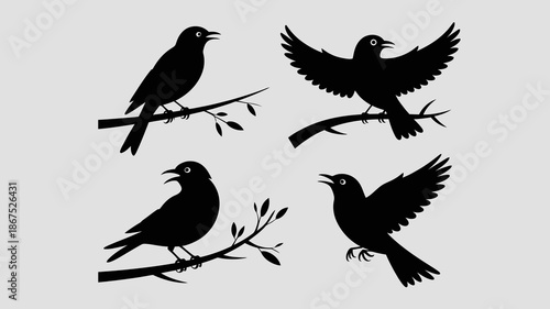 a minimalistic illustration depicts four black silhouettes of birds perched on slender branches with sparse leaves conveying a sense of avian grace high quality professional detailed