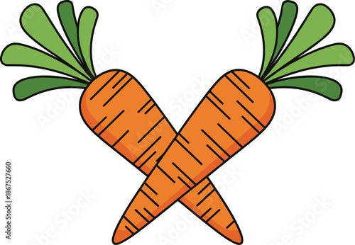 Crossed carrots vegetable illustration with green leaves, healthy food concept, organic farming and nutrition design