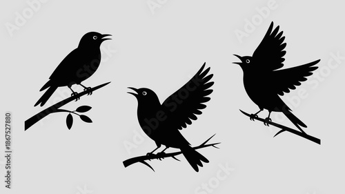 a minimalistic depiction of three birds in silhouette perched on slender branches showcasing a sense of flight and natural elegance high quality professional detailed modern elegant