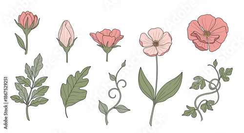 A delicate collection of hand-drawn botanical illustrations featuring soft pink blossoms and lush green foliage.