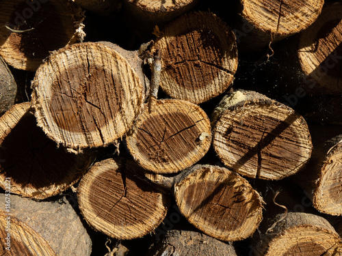 Stacked dry firewood logs with rough bark and visible annual rings in natural sunlight