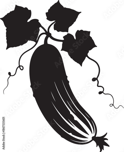 silhouette of calabash on vine