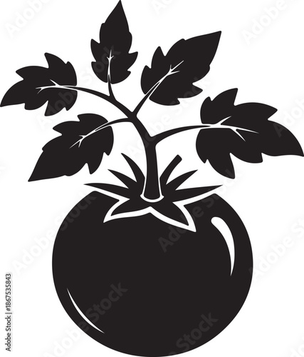 Tomato with leaves on transparent background