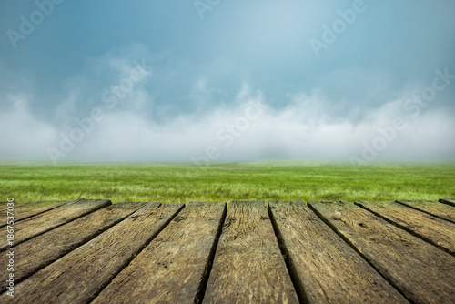 Verwitterte Holzveranda aus alten Holzdielen vor einer Wiese