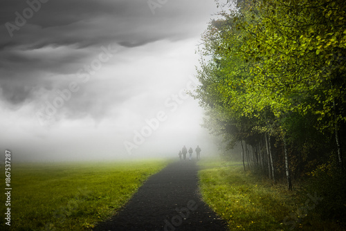 Weg durch das Schwarze Moor in der Rhön, Bayern, Deutschland