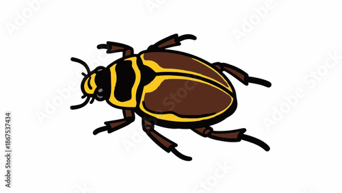 A cartoon illustration of a brown beetle with yellow markings