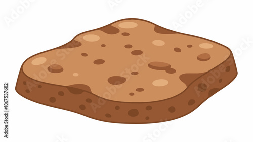 A brown slice of bread, depicting a textured surface with air pockets and a crusty edge