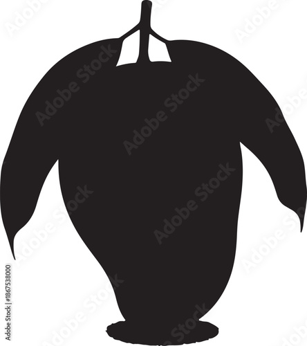 Silhouette of a mango fruit