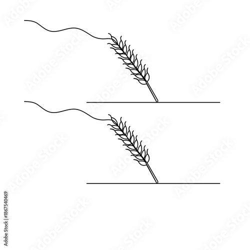 Continuous line drawing of wheat ears isolated on a white background vector illustration

