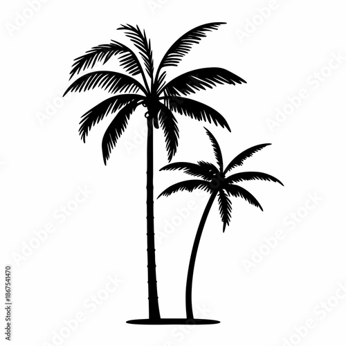 Tropical tree shiloette