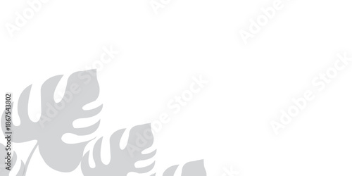 Monstera leaf shadow overlay on white background. Soft blurred shadow of monstera leaves cast on a white background, perfect for natural overlays, modern layouts, and subtle design accents. eps10

