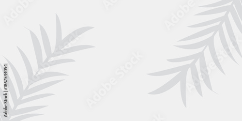 Monstera leaf shadow overlay on white background. Soft blurred shadow of monstera leaves cast on a white background, perfect for natural overlays, modern layouts, and subtle design accents. eps10

