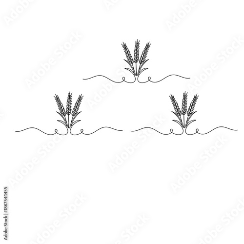 Continuous line drawing of wheat ears isolated on a white background vector illustration

