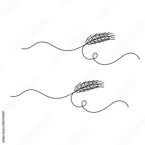 Continuous line drawing of wheat ears isolated on a white background vector illustration

