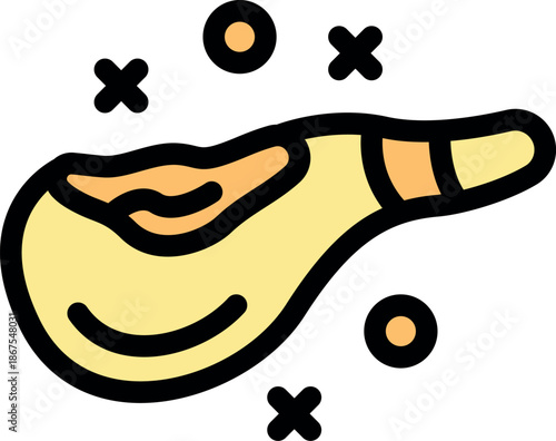 Pancreas secreting insulin and glucagon regulating glucose metabolism and digestive enzymes breaking down food