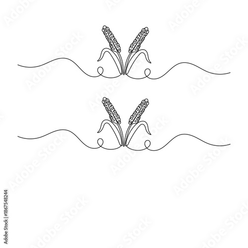 Continuous line drawing of wheat ears isolated on a white background vector illustration

