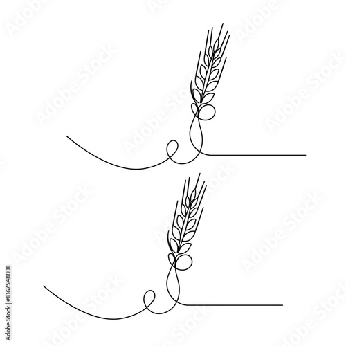 Continuous line drawing of wheat ears isolated on a white background vector illustration

