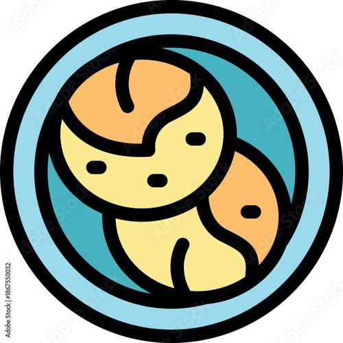 Falafel, a deep fried patty made from ground chickpeas or fava beans, served on a plate, a popular middle eastern and mediterranean street food